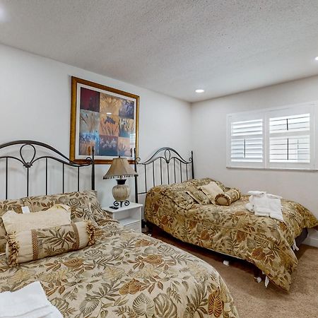 Tropical Paradise Clearwater Beach Rom bilde