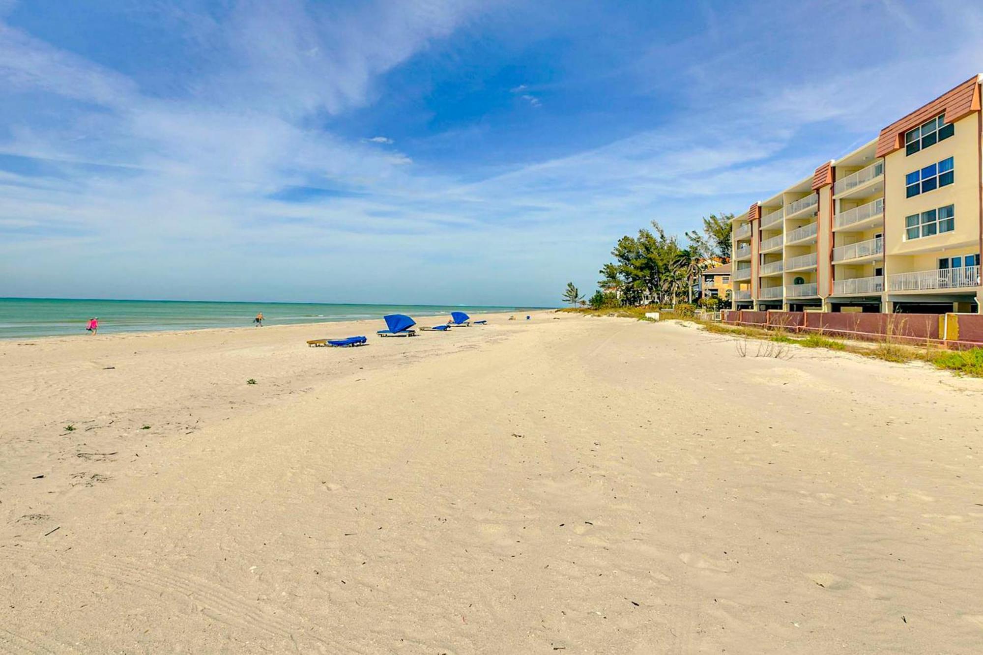 Tropical Paradise Clearwater Beach Rom bilde